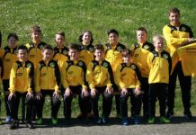 E2: Junge Löwen in neuen Outfits