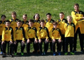 E2: Junge Löwen in neuen Outfits