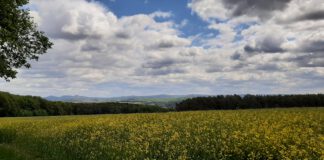 Wandern in Zeiten von Corona Ausblick oberhalb Lantershofen